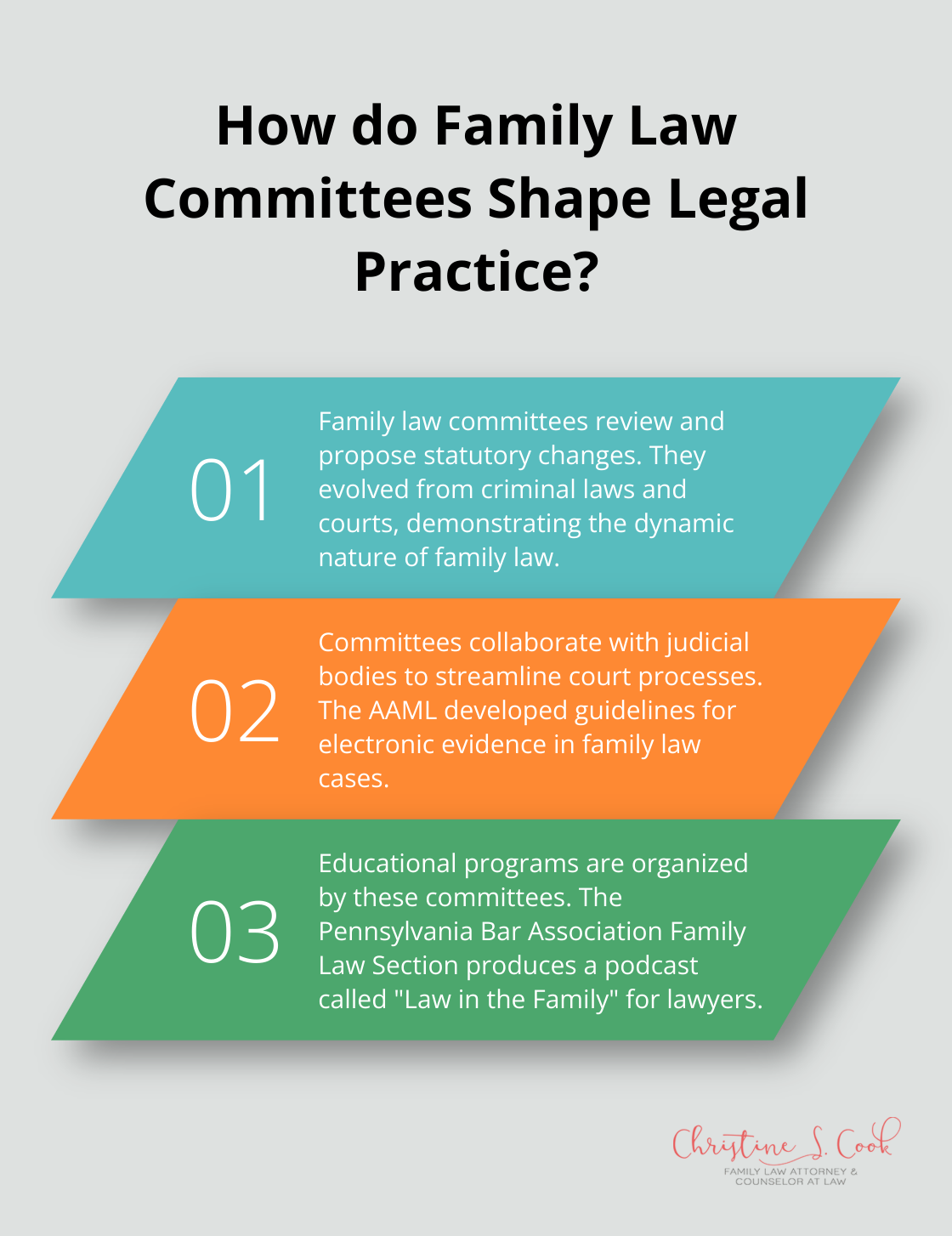 Infographic: How do Family Law Committees Shape Legal Practice?