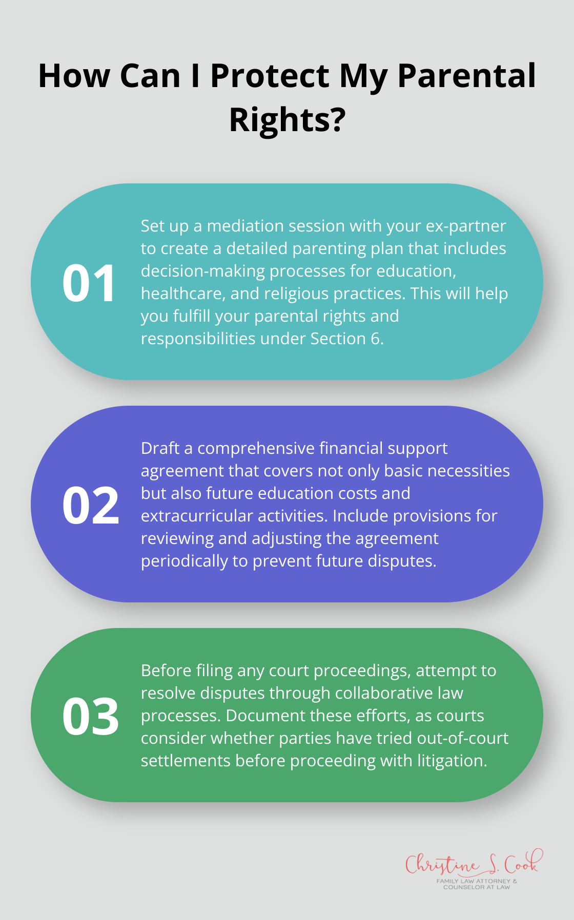 Infographic: How Can I Protect My Parental Rights?